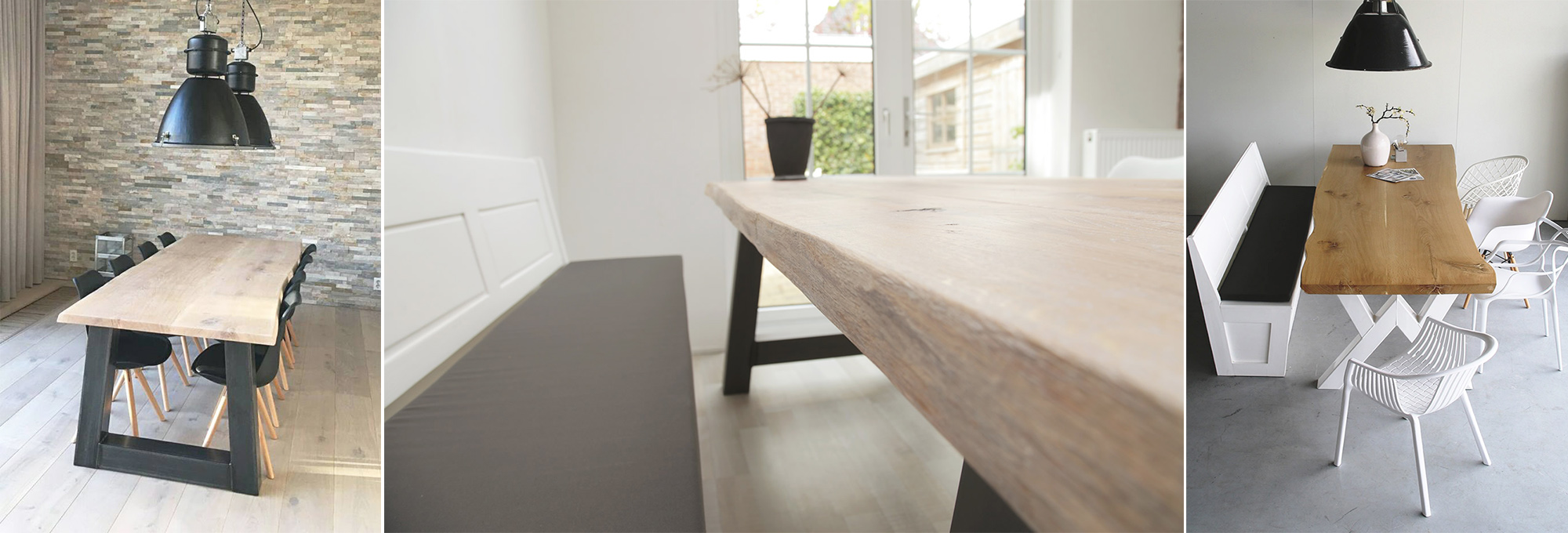 Boomstamtafel Friesland-Leeuwarden