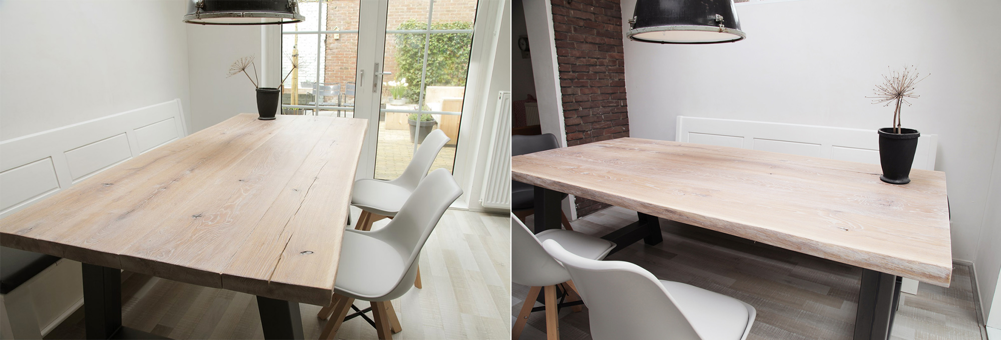 Boomstamtafel Friesland-Leeuwarden